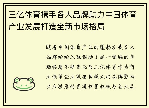 三亿体育携手各大品牌助力中国体育产业发展打造全新市场格局